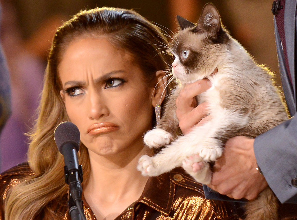 grumpy cat bersama J-LO